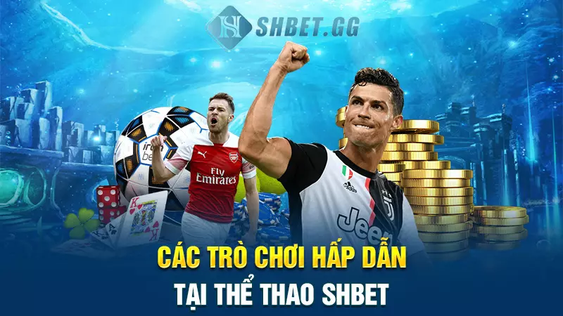 SHBET PRO – Trang Chủ, Sản Phẩm & Hướng Dẫn Truy Cập 12 Các trò chơi hấp dẫn tại thể thao SHBET
